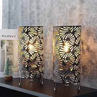 JHY DESIGN Set of 2 Metal Lamp Battery Powered 23.5cm High Accent Cordless Lamp with LED Bulb Huge Fan Patterned Battery Lamp for Weddings Parties Patio Garden Indoors Outdoors Table Bed Room