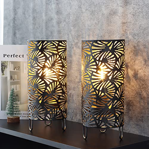 JHY Design Lot de 2 lampes en metal alimentees par piles 23,5 cm de haut Sans fil Avec ampoule LED Grand ventilateur Pour mariages, fetes, terrasses, jardins, interieurs, exterieurs, chambres acoucher