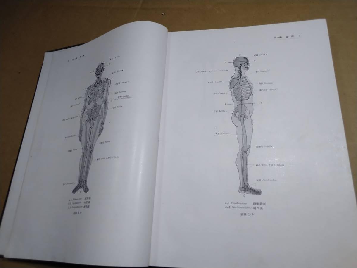 昭和　レトロ　古書　『基礎解剖学』朝倉書店 朝倉復刊セレクション 群論の基礎 （基礎数学シリーズ）｜朝倉書店