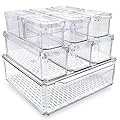 EASPACE 10-Pack Clear Fridge Organizer Bins with Lids & Drainage Holes, Stackable Container Set, BPA-Free Plastic Refrigerator Storage Containers for Food, Fruits, Vegetables, Meats (Multi-Purpose)