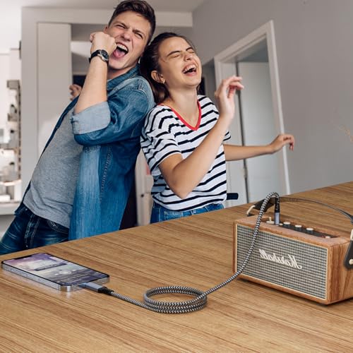 Câble USB C vers 6,35 mm DAC Realtek pour supprimer les grésillements de l'iPhone 15