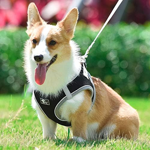PENIVO Small Dog Harness Vest Puppy Breathable Mesh Pet Dog Harness and Leash Set Reflective for Small Medium Dogs Chest Strap Walking Lead (XS,24-26cm - Image 4