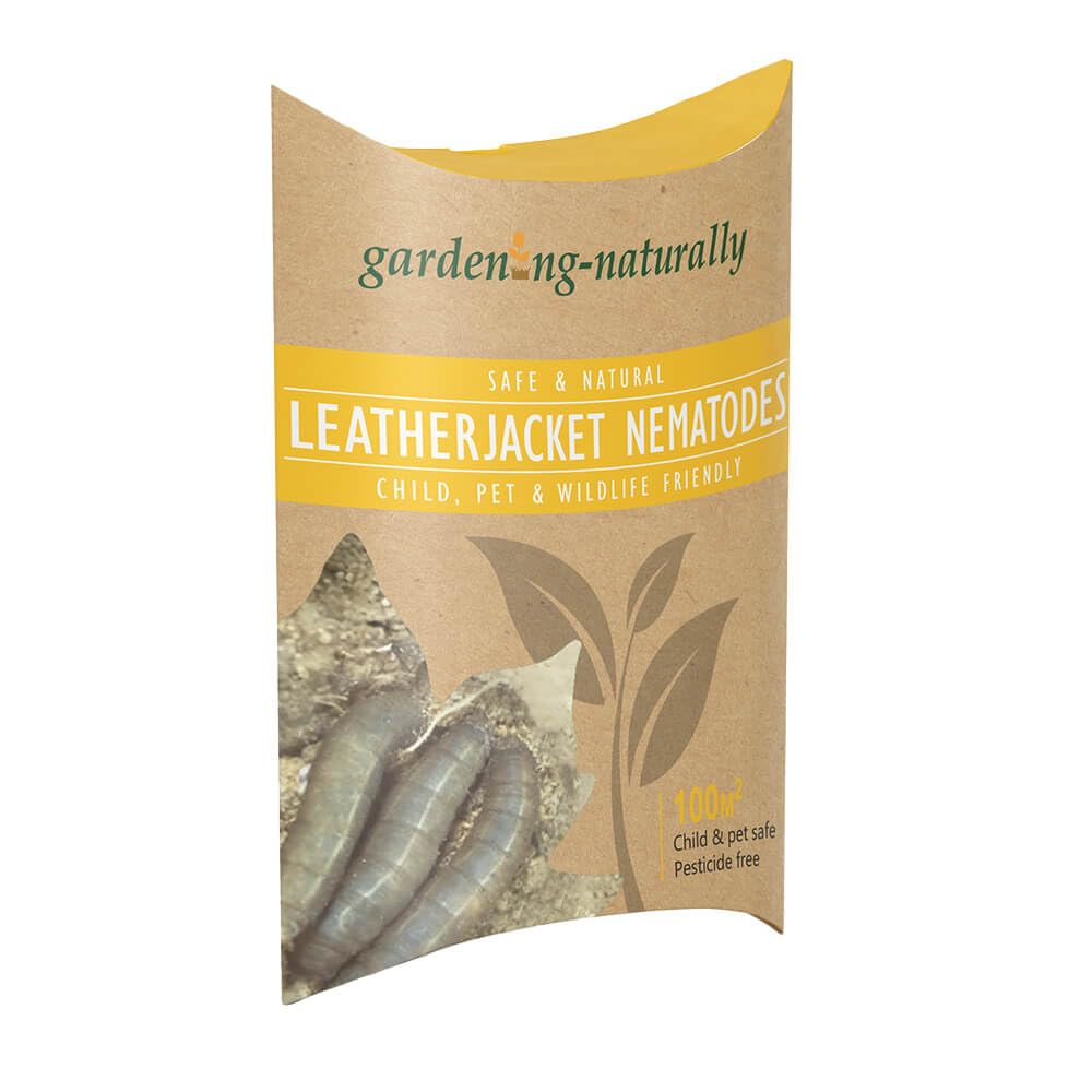 Leatherjacket Nematodes Natural Organic Pest Control Treats 100sqm