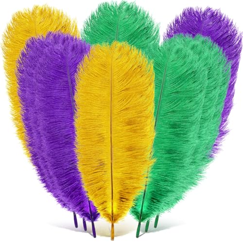 Hotop 90 Pcs Mardi Gras Ostrich Feathers 12