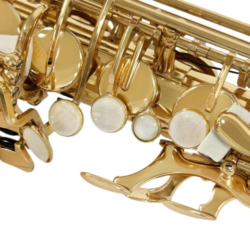 Image of Yinfente E Flat Alto Saxophone For Adult Beginners,Saxophone Student,Eb Alto Sax Full Kit With Reeds,Pads Cushions,Neck Strap,Hard Carrying Case,Mouthpiece,Cleaning Cloth & Rod,Gloves