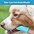4 Pack Dog Toothbrush Finger Brush , Dog Toothbrush with Handle,360º Silicone Dog Tooth Brushing Kit Full Surround Bristles with Storage Case,Dog Teeth Cleaning Dental Care for Pet ,Puppy and Cat