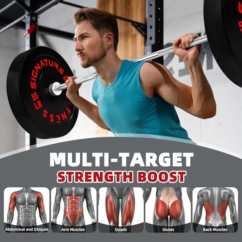 Image of Fitvids 2-Inch Olympic Rubber Weight Plates Sets, Bumper Plates Set with Barbell for Strength Training, 390 Lbs Set, Color