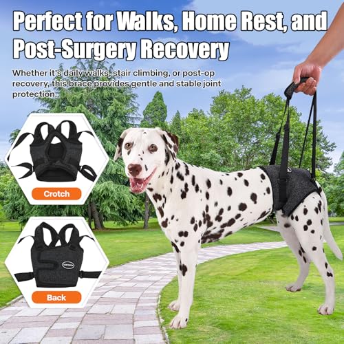 Image of Dog Sling for Medium Large Dog Rear Leg, Lift Harness Provide Support with Muscle Atrophy and Joint Problems for Elderly Injured Arthritic Pet, Dog Weak Rear Legs Provides Rehabilitation Aid