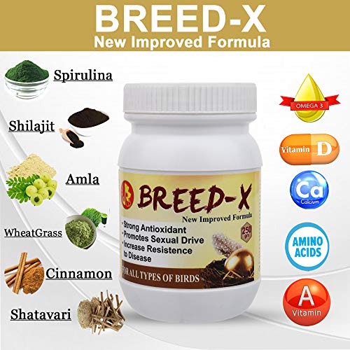 Image of Pet Care International (PCI) Breed-X || Provide All Essential Nutrition || Healthy Bird Breeding Healthcare (250 Grm, Breed X), All Life Stages, Pellet