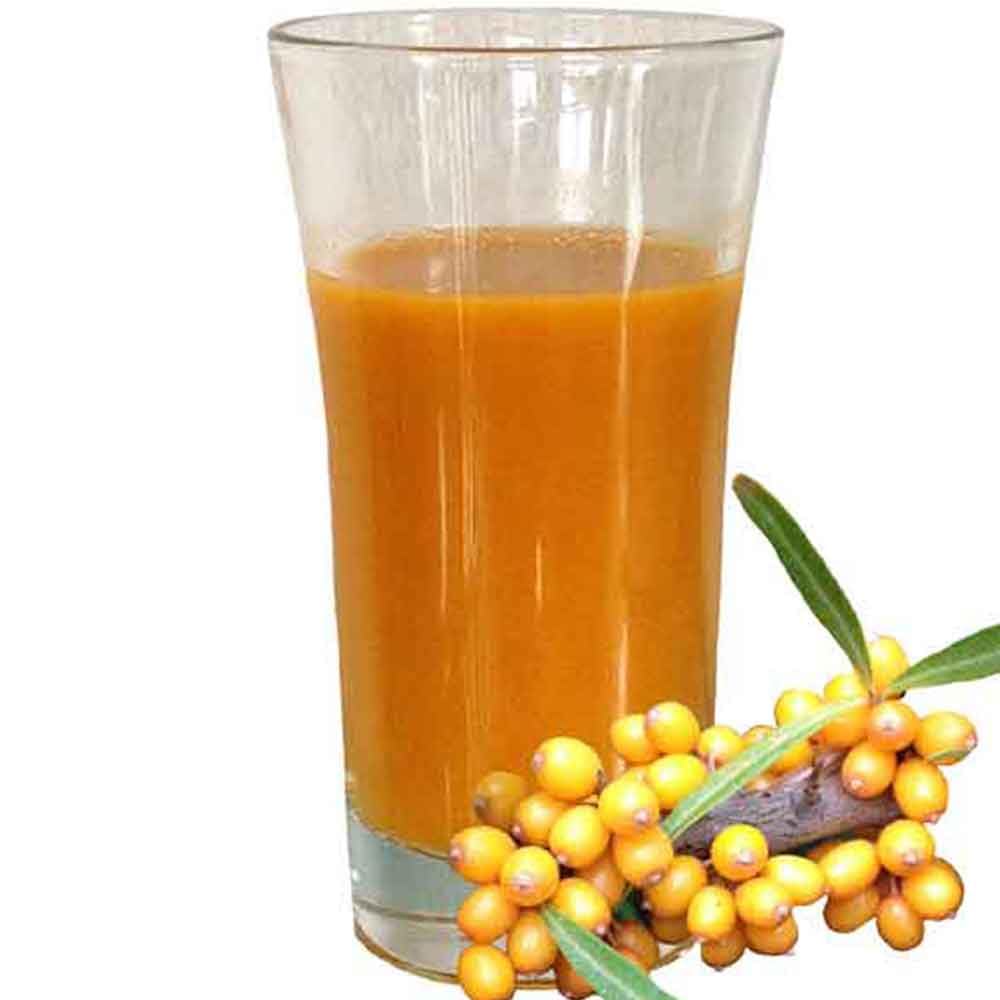 Rügener Sanddorn Muttersaft 1l, 100% Direktsaft - 3 Flaschen