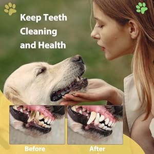 Dog squeak toys durable plush dog toy with crinkle paper tug of war pull toys for puppies interactive dog chew toys for small medium and large dogs   cucciolini doodles