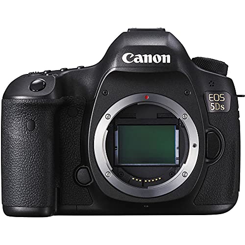 Cámara Canon EOS 5DS DSLR con lente EF 75-300mm y kit de filtros miniatura 3