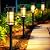 Mancra Solar Pathway Lights, 8 Pack LED Solar Lights Outdoor Waterproof, Glass Solar Garden Lights Landscape Lighting for Yard Lawn Walkway Driveway, 3000K