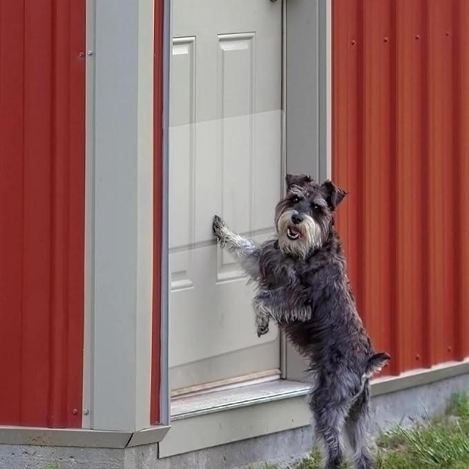 Kratzschutz für Türen, Kratzschutz für Hunde | Transparenter Türrahmenschutz, Selbstklebender Möbelschutz, Kratzschutz für Hunde und Katzen Verhindert Kratzer und Schäden (Weiß1)