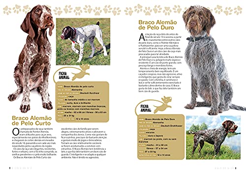 A Enciclopédia Ilustrada de Raças de Cães - Volume 2: Um guia visual de A a Z com 176 Raças para voc