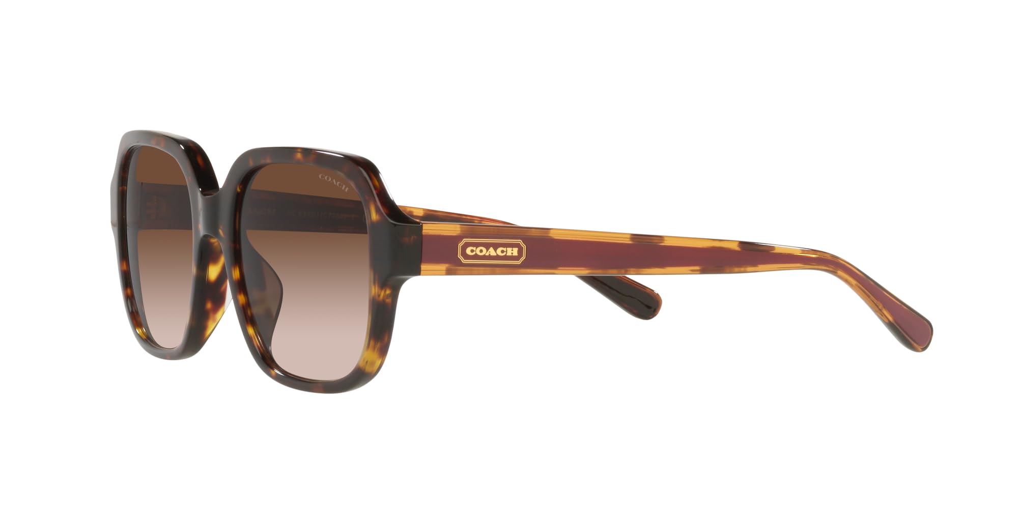Gafas de Sol Coach C7989 CH 8335U Brown/Brown Sahded 53/18/140 mujer
