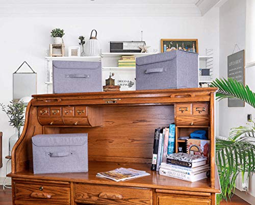 Scatola di immagazzinaggio con Coperchio. Robusta