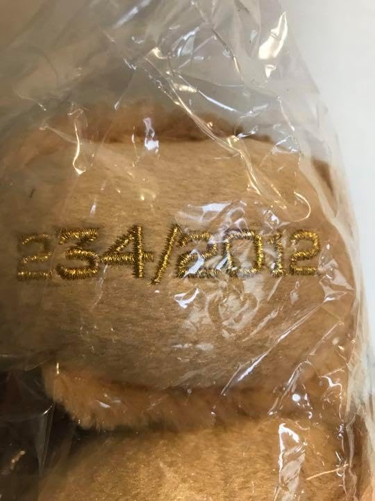 プレミア品 女子サッカーW杯 限定 優勝記念テディベア