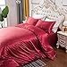 geek cook 4-częściowy zestaw, poszewka na kołdrę z poszewkami na poduszki miękki jedwab satyna dla kobiet dziewcząt letnia poszewka na kołdrę zestaw pościeli Twin Queen King Size, czerwone wino, podwójne, 200 x 200 cm