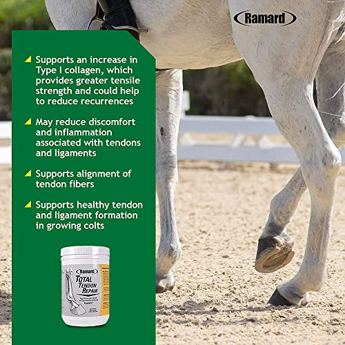 Ramard Total Prebiotic And Probiotic Equine Formula & Total Tendon Repair — Advanced Digestive Health Supplement For Foals And Adult Horses— Probiotics For A Healthy Gut — Ligament, Tendon Supplements #TOP7