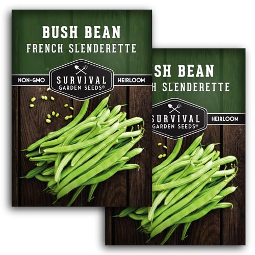 2 Packets French Slenderette Bush Bean Seeds for Planting with Instructions to Grow Haricots Verts in Your Home Vegetable Garden - Non-GMO Heirloom - Survival Garden Seeds
