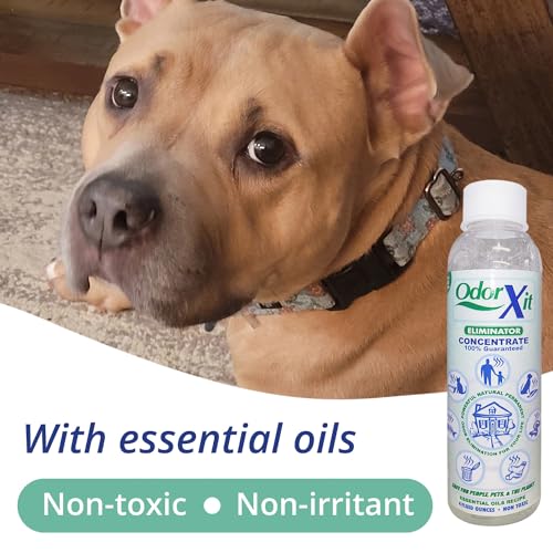 concentrated pet urine odor eliminator ideal for cat dog poo and urine smell versatile amp natural odor neutralizer for home and outdoor use deodorizer amp absorber concentrate 4oz