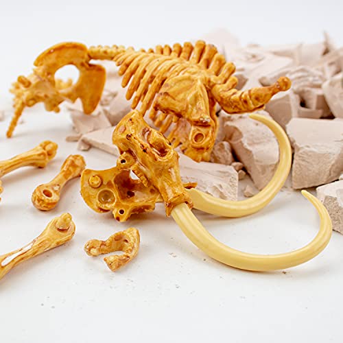 Science4you Mammut Dino Ausgrabungsset Kinder +6 - Archäologie Set Für Kinder mit 17 Teilen, Grab Dein Dinosaurier Spielzeug - Experimentierkasten, Kinder +6 Jahre – Bild 5