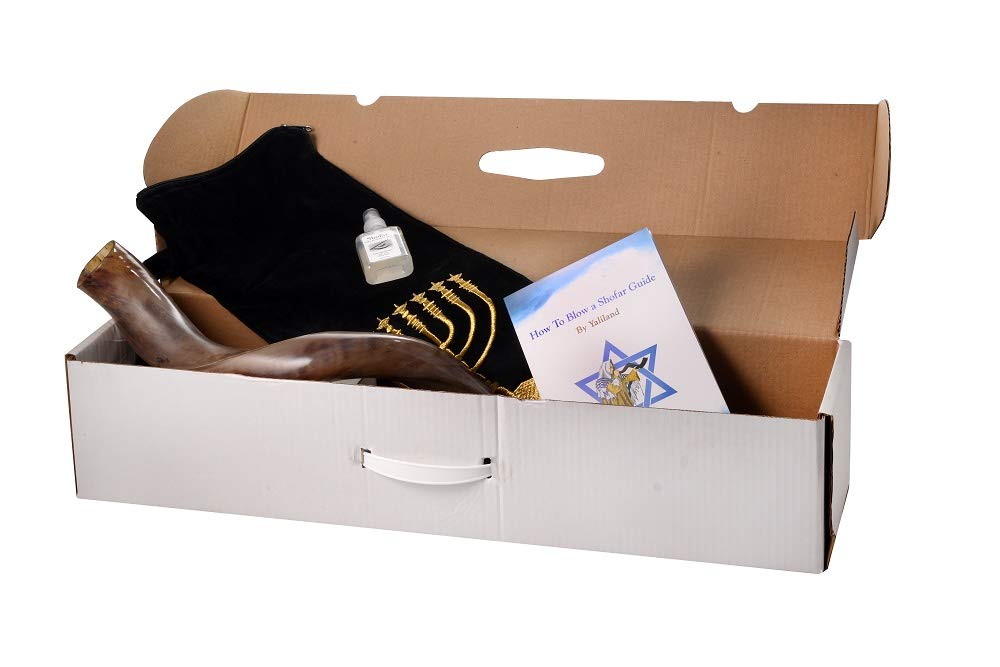 Shofar from Israel Full Polished 28