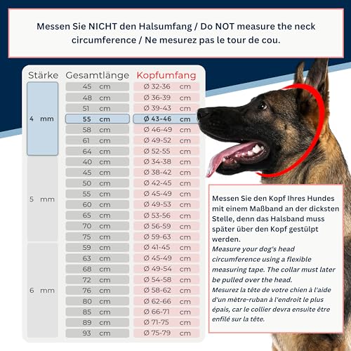 Kettenwürger für Hunde mit Kopfumfang 42-45 cm aus Edelstahl V4A Hundekette mit Zugstop Kettenhalsband langgliedrig 5mm dick und 56 cm Gesamtlänge