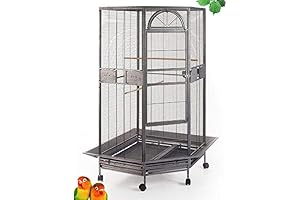 Spacious Corner Aviary for Expansive Flight and Breeding