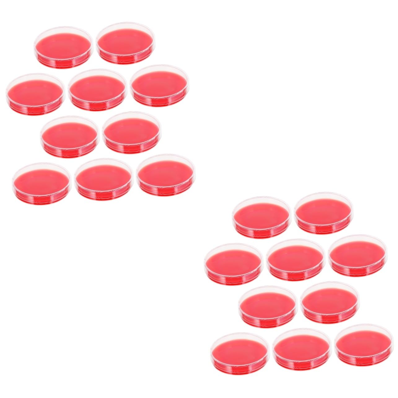 PartyKindom 20pcs Agar Culture Plates Agar Petri Dishes for Microbiology Labs Lightweight Growth Medium Precision Molded for Consistent Quality