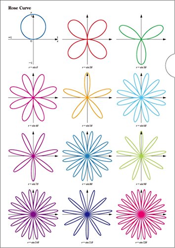 Amazon | クリアファイル（バラ曲線） A4 数研グッズ | クリアホルダー