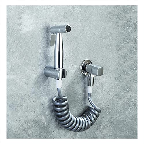 Pulvérisateur de bidet de toilette en acier inoxydable et son robinet chromé design