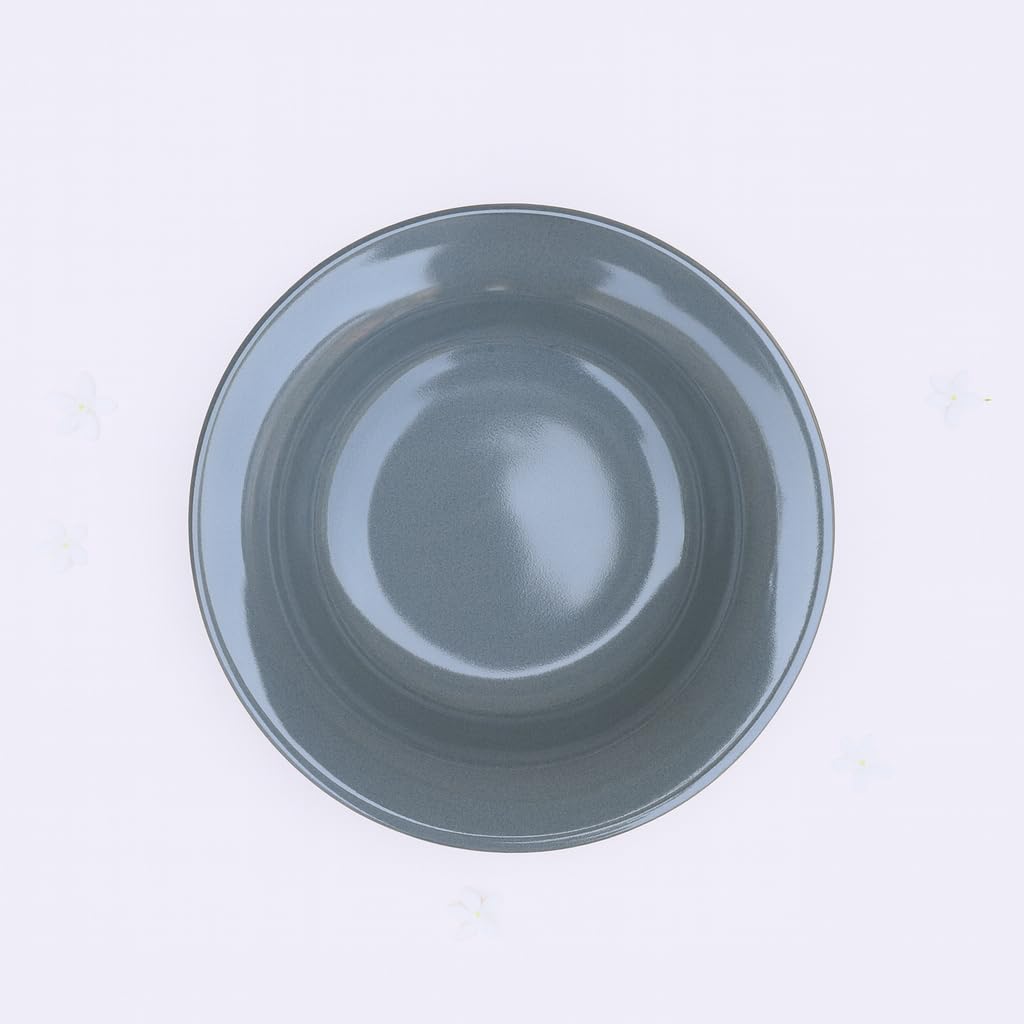 RNS GLOBAL Durable Soup Plates - Round Deep Plate Set for Soups, Stews, and Hot Dishes Design 4 1