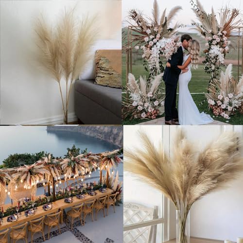 Image of 38 inch 10 Stems Faux Pampas Grass Decor Tall Brown Pampas Grass for Floor Vase
