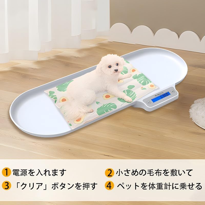 希少データ】ポケモン ハートゴールド 幻・伝説多数 ダークライ