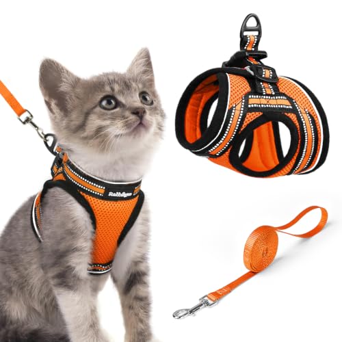 Image of rabbitgoo Cat Harness and Leash Set, Step-in Soft Vest, Orange | Escape Proof, Lightweight, Easy-on & Adjustable, Hook & Loop with Buckle, Reflective, for Kittens & Small Cats Walks, S
