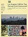Produktbild Los Angeles 1-Million Tree Canopy Cover Assessment