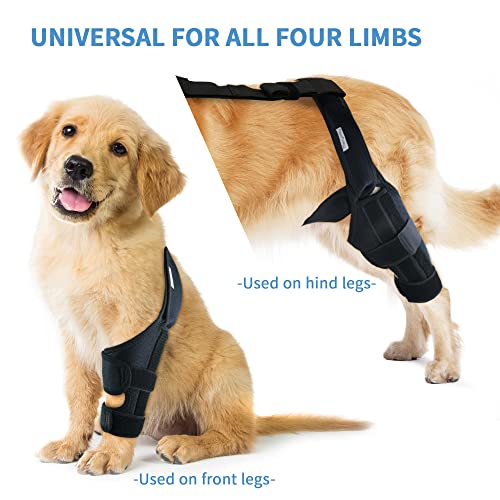 Image of Dog Knee Brace for Hind and Rear Leg, Support for Dog Ligament Injury Joint Pain, Size Large