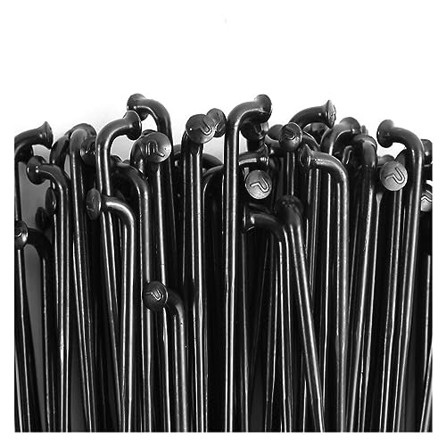 Rayons ronds courbés 14g de 282 mm en acier inoxydable pour supprimer le voile d'une roue