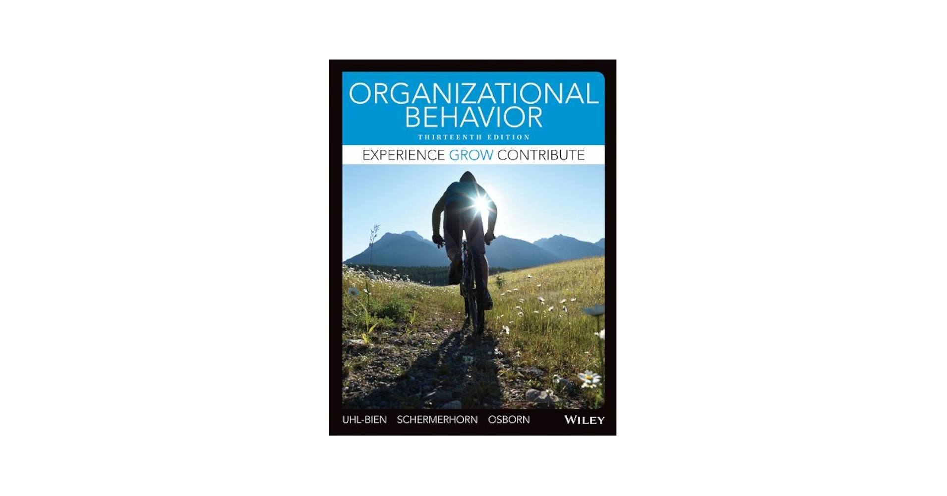 Amazon.com: Organizational Behavior, 13th Edition eBook