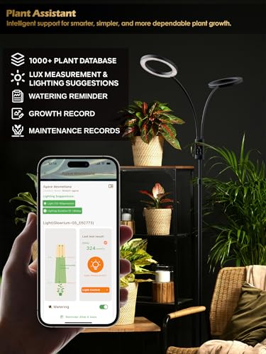 Image of Smart Grow Lights for Indoor Plants, Plant Light with Auto-Timer, Full Spectrum LED Grow Light, Adjustable Height & Stepless Dimming,Plant Assistant Suitable for Most Plants (Black, Dual Heads)