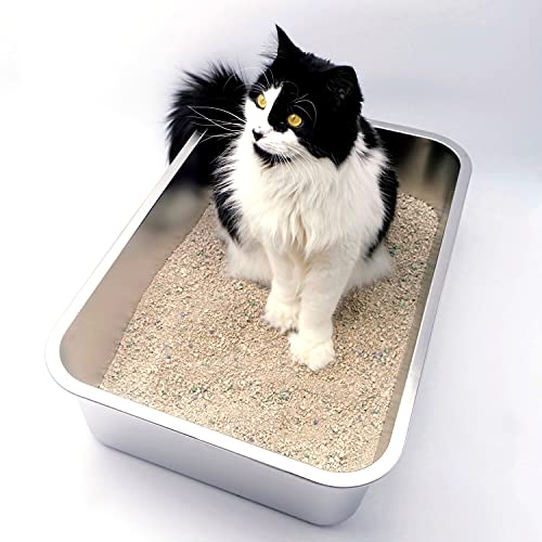 Arenero de Acero Inoxidable para Gatos XL miniatura 5