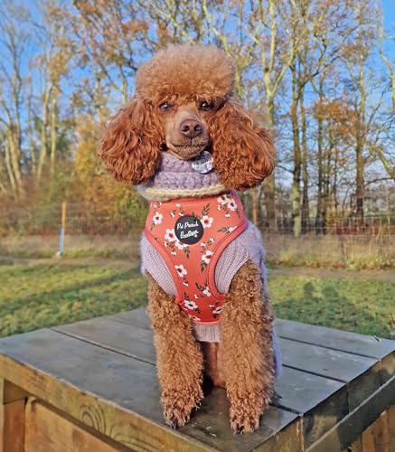 Peach & Ivy Blossom Dog Harness S, Orange, small - Image 2