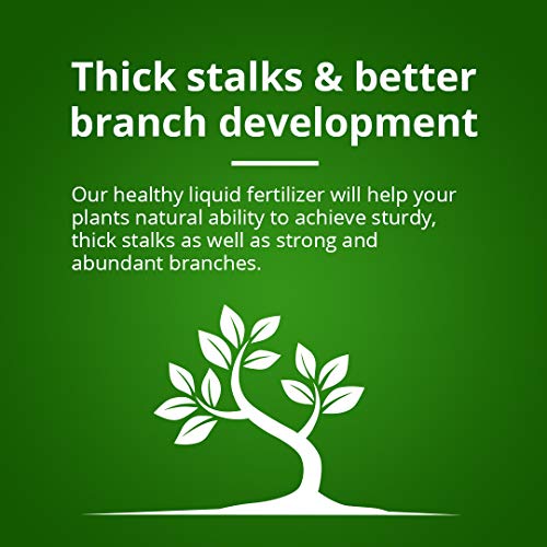 Humboldts Secret Tree Trunk - Silicate Additive - Advanced Nutrients - Helps Plants Flourish - Indoor Plant Food - Hydroponic Nutrients - Liquid Fertilizer (32 Ounce) #TOP5