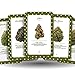 IBIZA TAROT Cannabis Oracle - Major Arcana