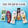 Softsoap Body Wash Pump, Coconut Butter Scrub, Exfoliating Body Wash, 32 Ounce (Pack of 1)