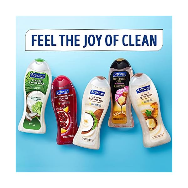 Softsoap Body Wash Pump, Coconut Butter Scrub, Exfoliating Body Wash, 32 Ounce (Pack of 1)