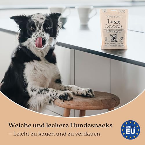Globe Buddy Luxx Rewards 150g – Hypoallergene Getreidefreie Hundesnacks mit Insektenprotein, Unterstützt Mobilität & Immunsystem, Super Premium Trainingsleckerlis für Alle Hunde