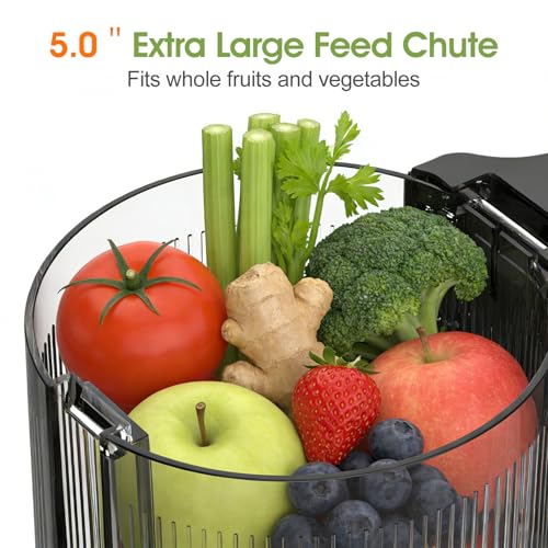 Image of Stainless Steel Cold Press Juicer, 5.0 Inch Wide Feed Chute